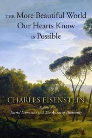 The More Beautiful World Our Hearts Know is Possible Free epub Download