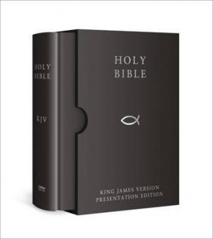Holy Bible Free epub Download