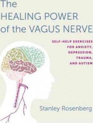 Accessing the Healing Power of the Vagus Nerve Free epub Download