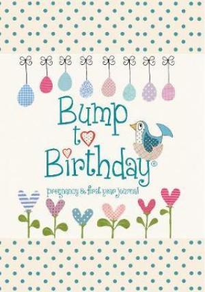 Bump to Birthday, Pregnancy & First Year Journal EPUB Download
