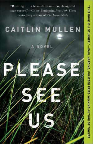 Please See Us by Caitlin Mullen Free ePub Download