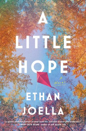 A Little Hope by Ethan Joella Free ePub Download